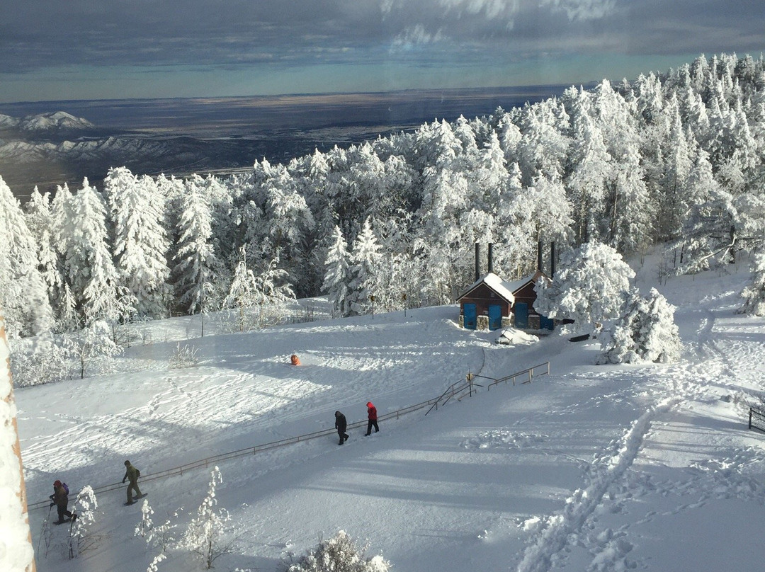 Sandia Crest House Gift Shop-Sandia Park必去景点