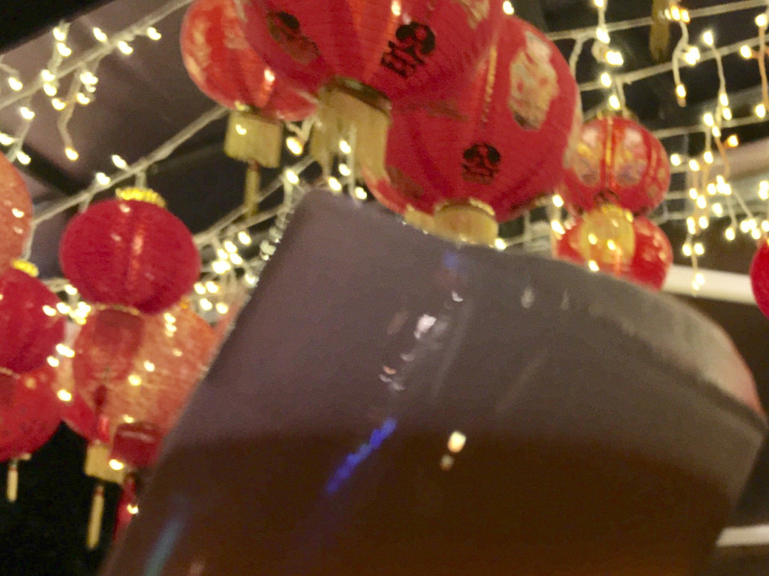 中国熊-香港必去景点