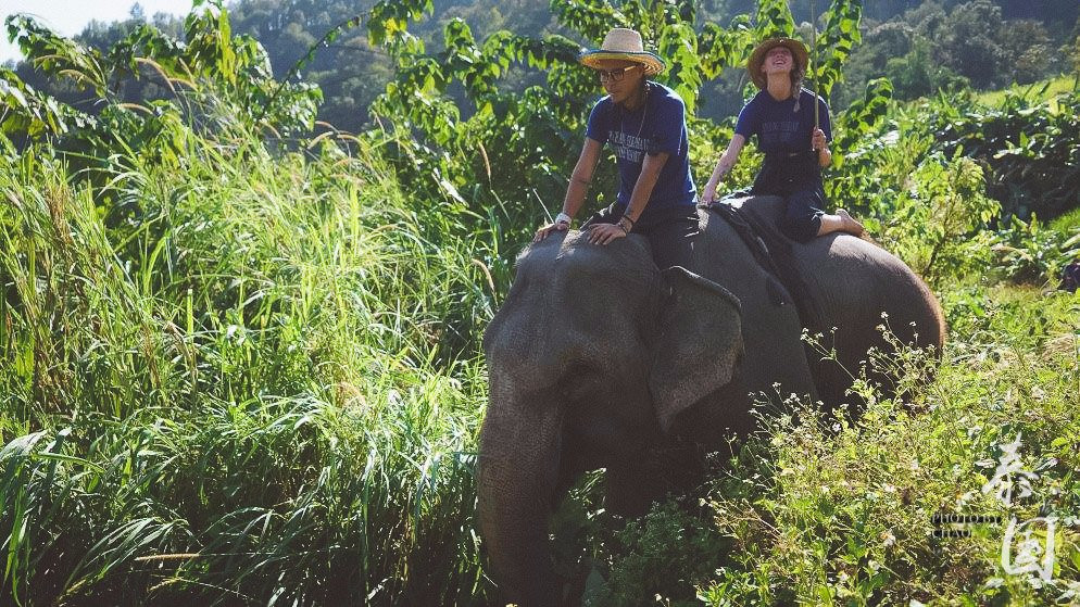 Baanchang Elephant's Paradise-夜登必去景点