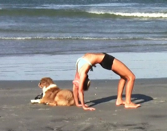 Wisdom Flow Yoga-马卡瓦必去景点