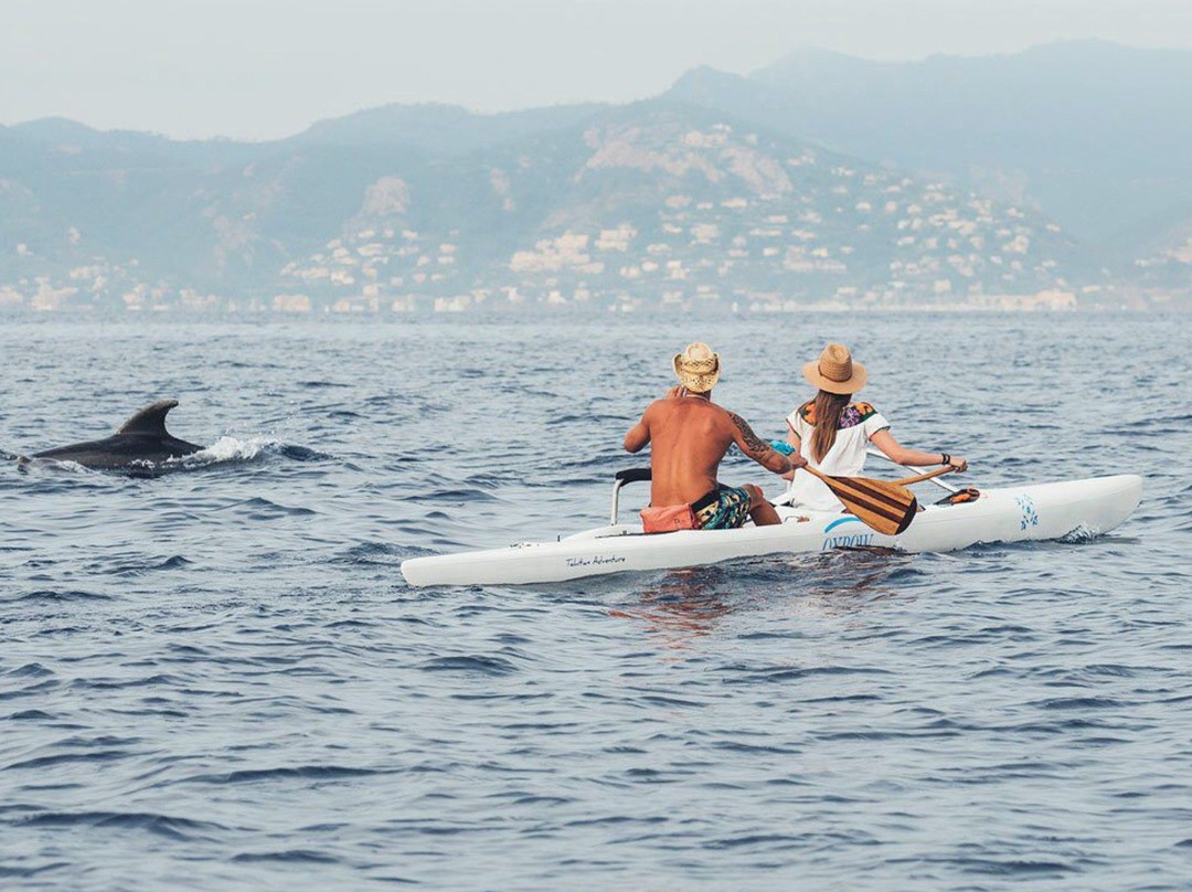 Tahitian Adventure-戛纳必去景点