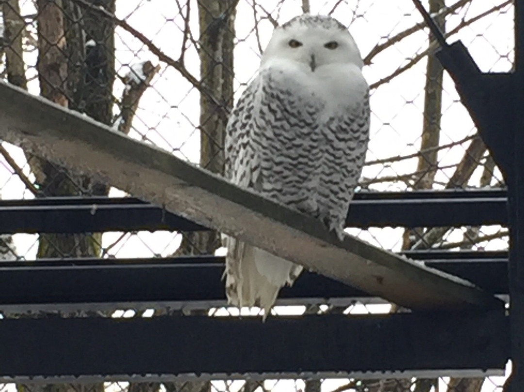 Kushiro City Zoo-钏路市必去景点