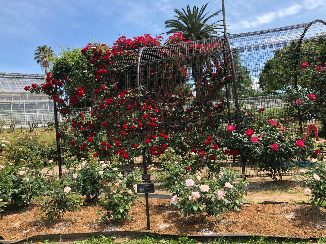 Kitakyushu Agricultural Center-北九州市必去景点