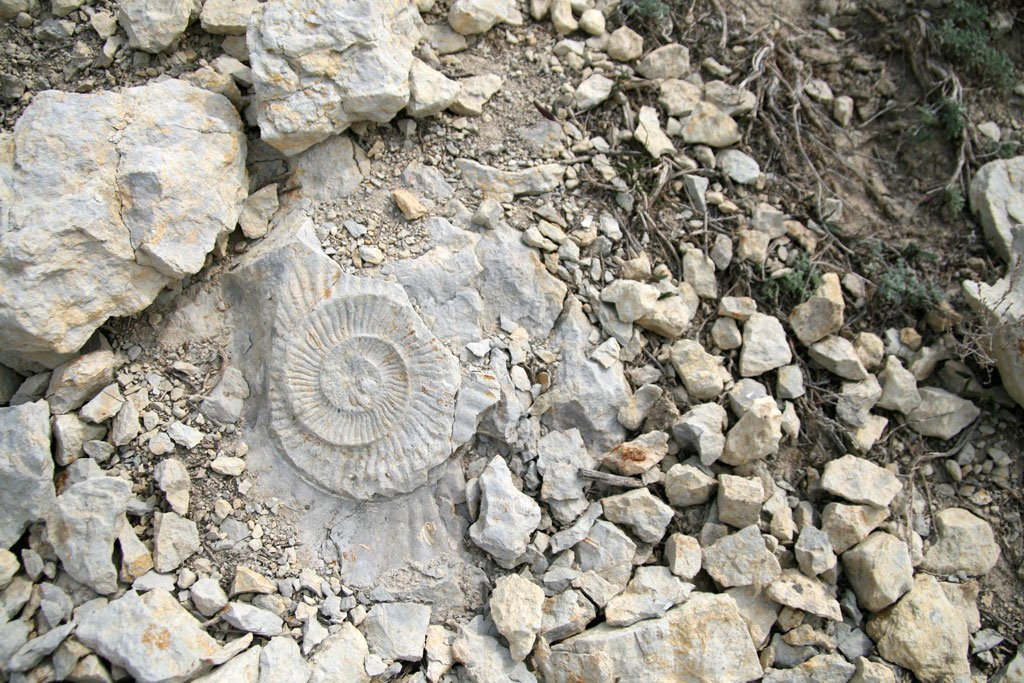 Mountain Ulagan-Elton必去景点