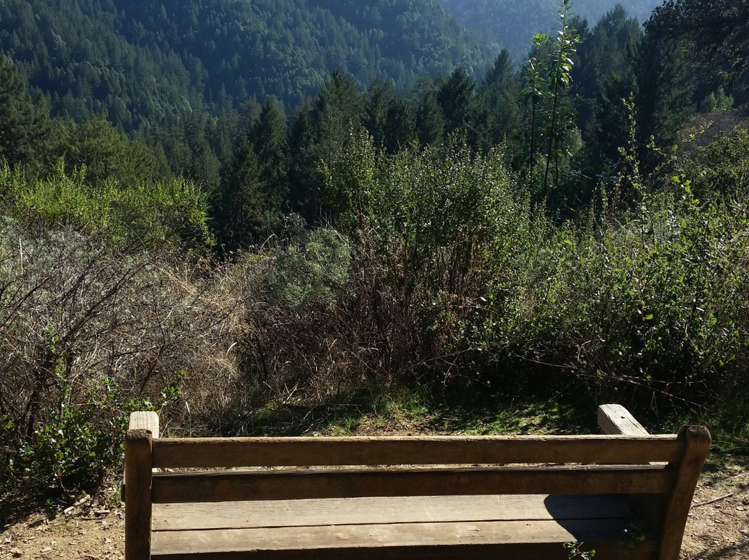 Cyclepath Outfitters-Soquel必去景点