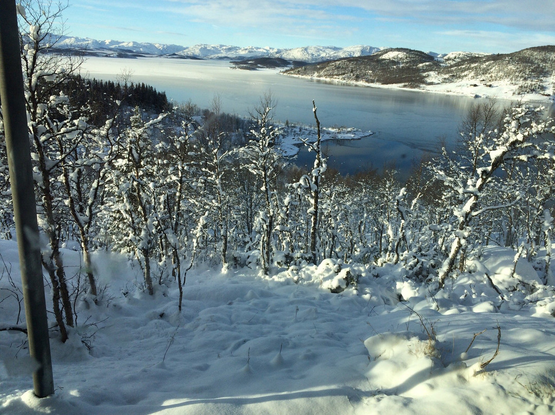 Visitor Centre Hardangervidda National Park景点图片