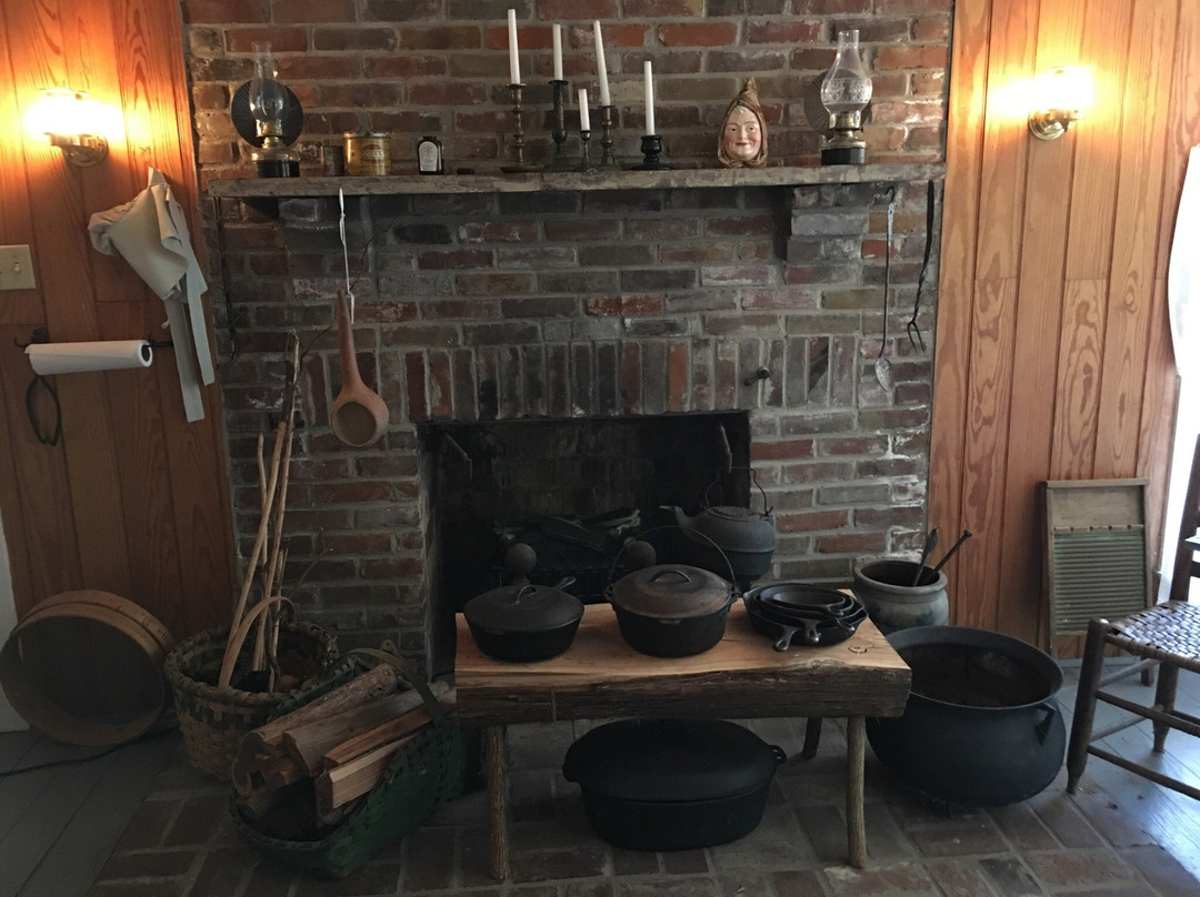 Davies Manor Historic Site景点图片