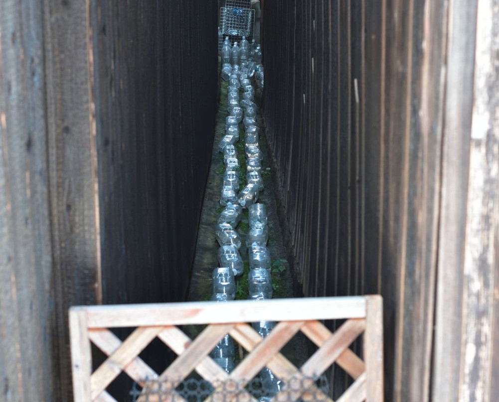 Old Hamamachi Town Reserved Premises-玉野市必去景点