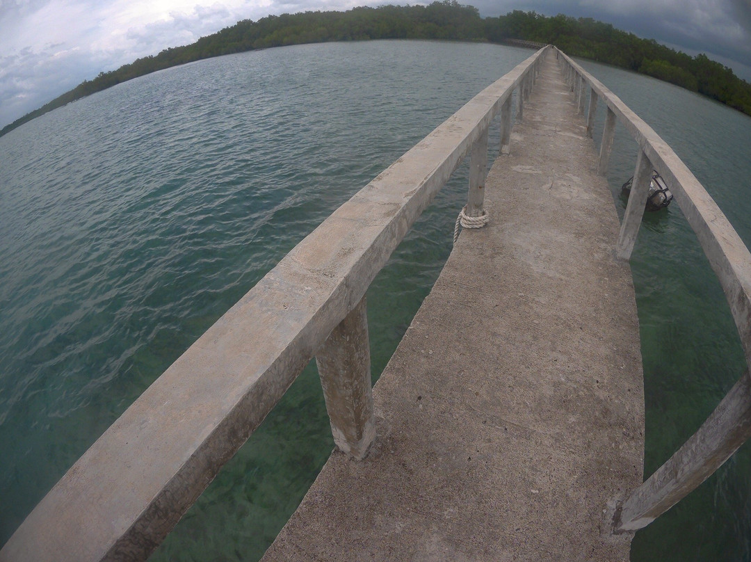 Talabong Mangrove Park景点图片