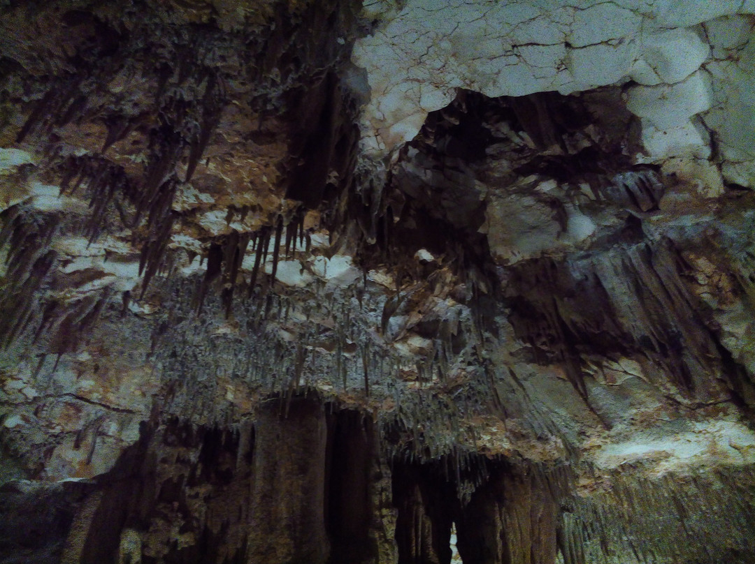 Grotte di Montevicoli景点图片