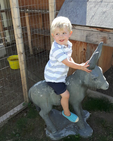 Swiller's Pond Petting Farm-Oliver必去景点