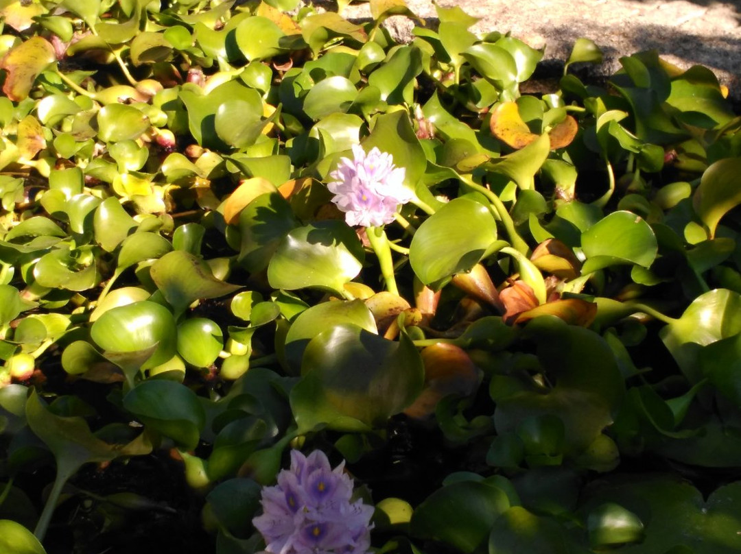 Casa do Escoivo主图