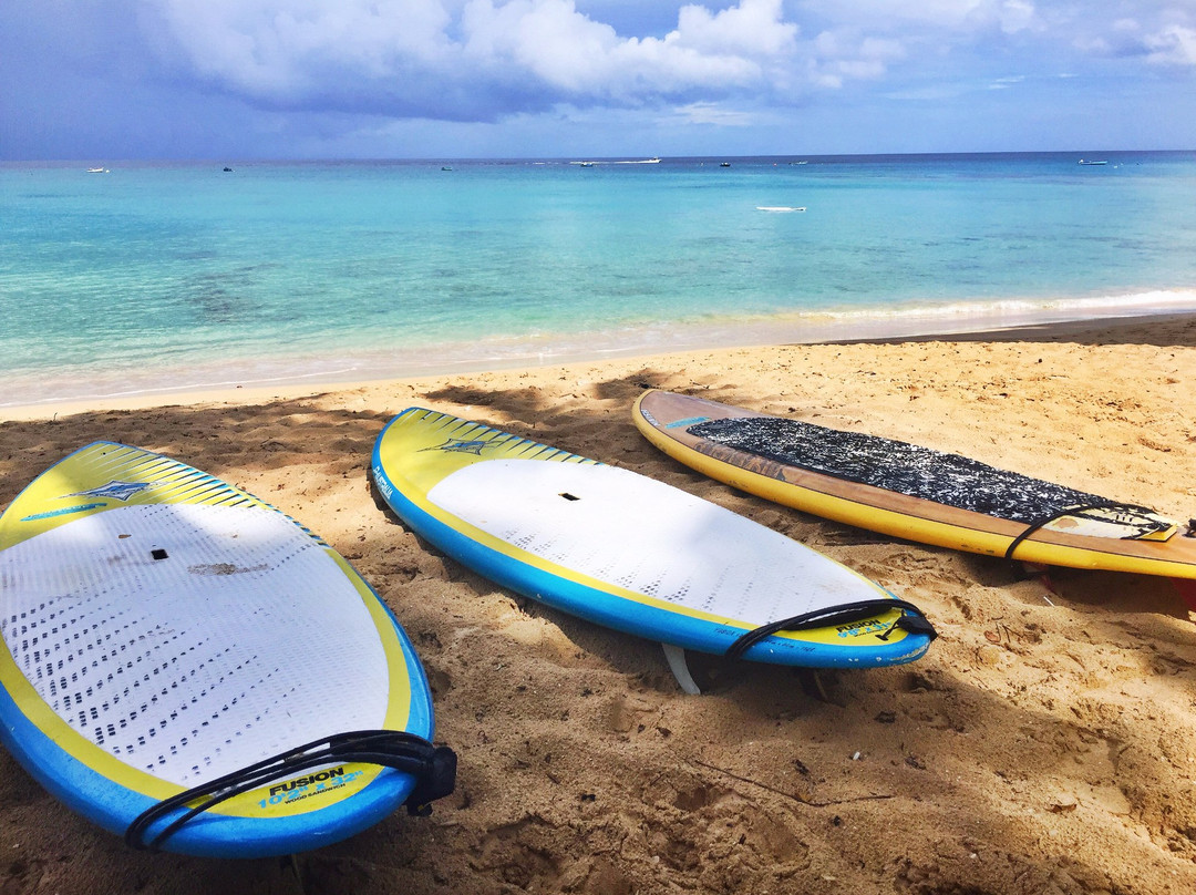 What' SUP Barbados-布里奇顿必去景点