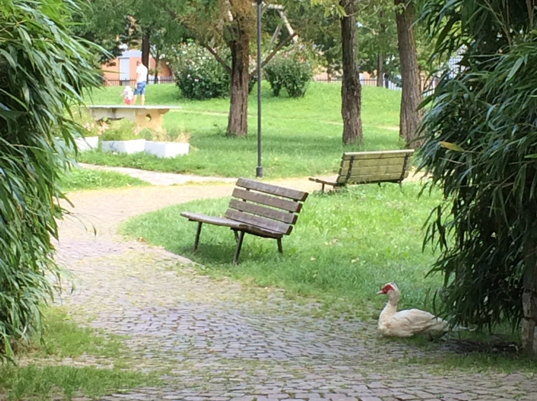 Parco Turani Redona景点图片