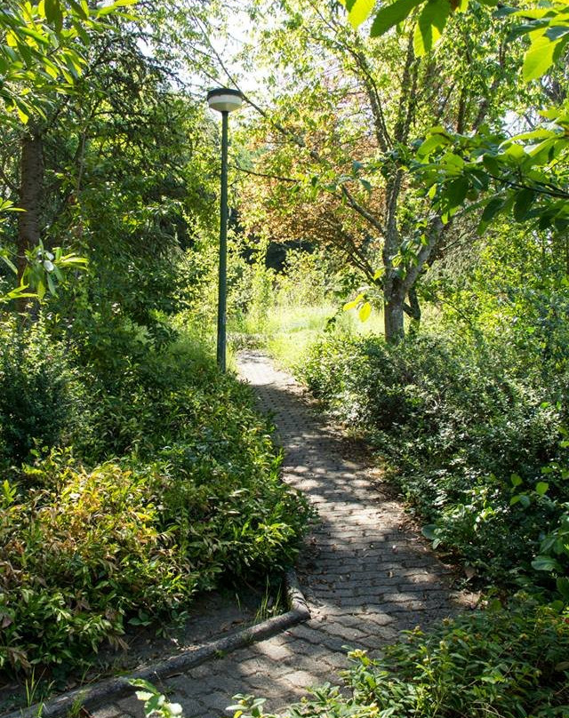 UTAD Botanical Garden-Vila Real必去景点
