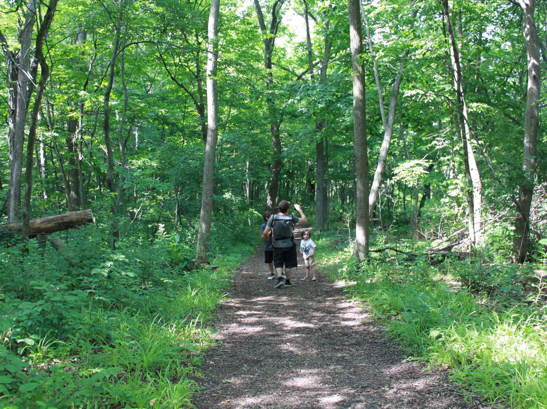 Fox River Park-沃基肖必去景点