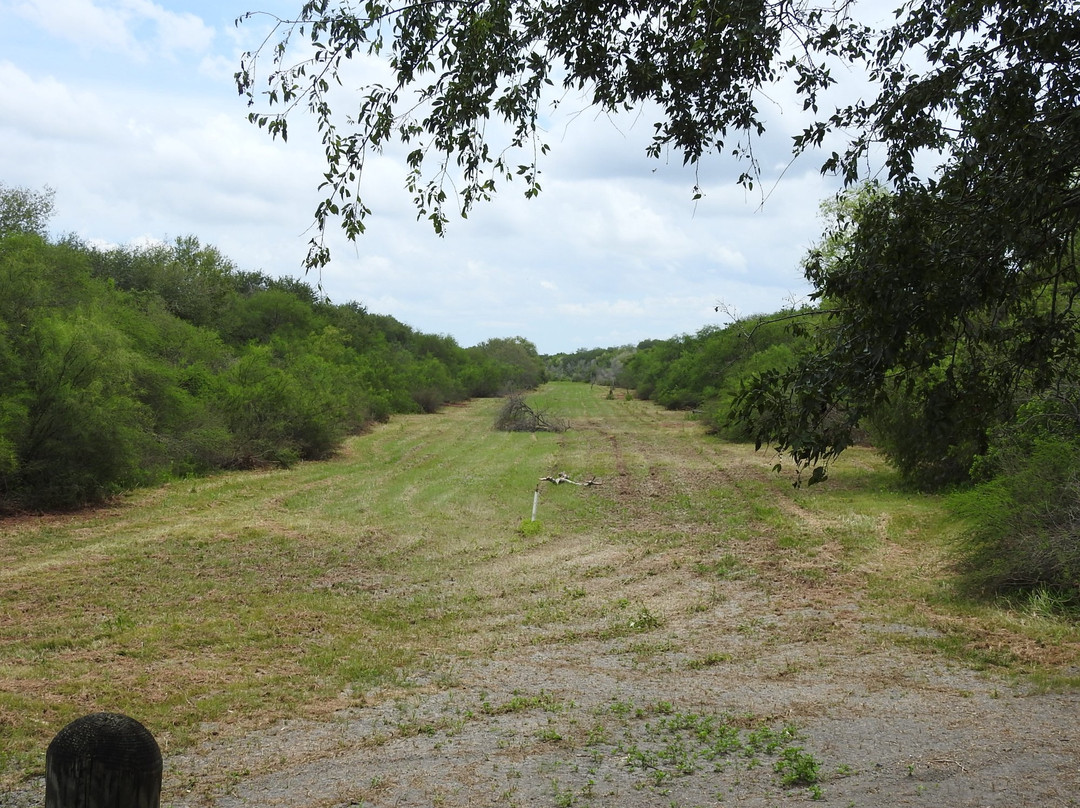 Resaca de la Palma State Park-布朗斯维尔必去景点
