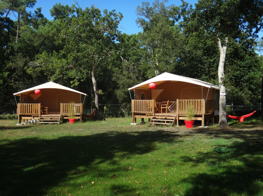 Camping la Palombière