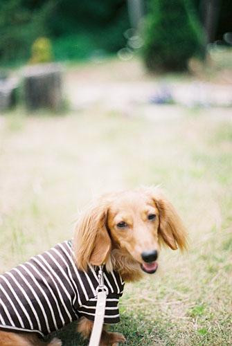 Nasu Herb Honey Garden-那须町必去景点