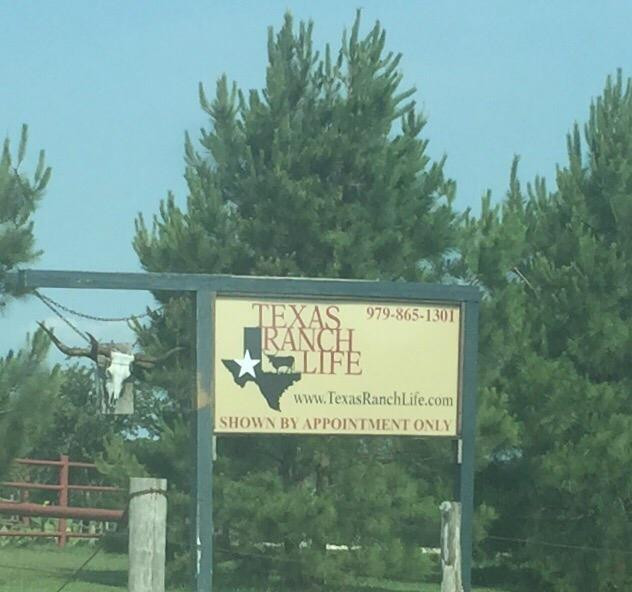 Texas Ranch Life景点图片