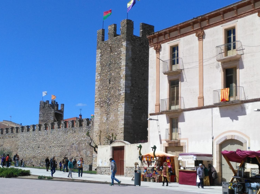 Iglesia de Sant Francesc景点图片