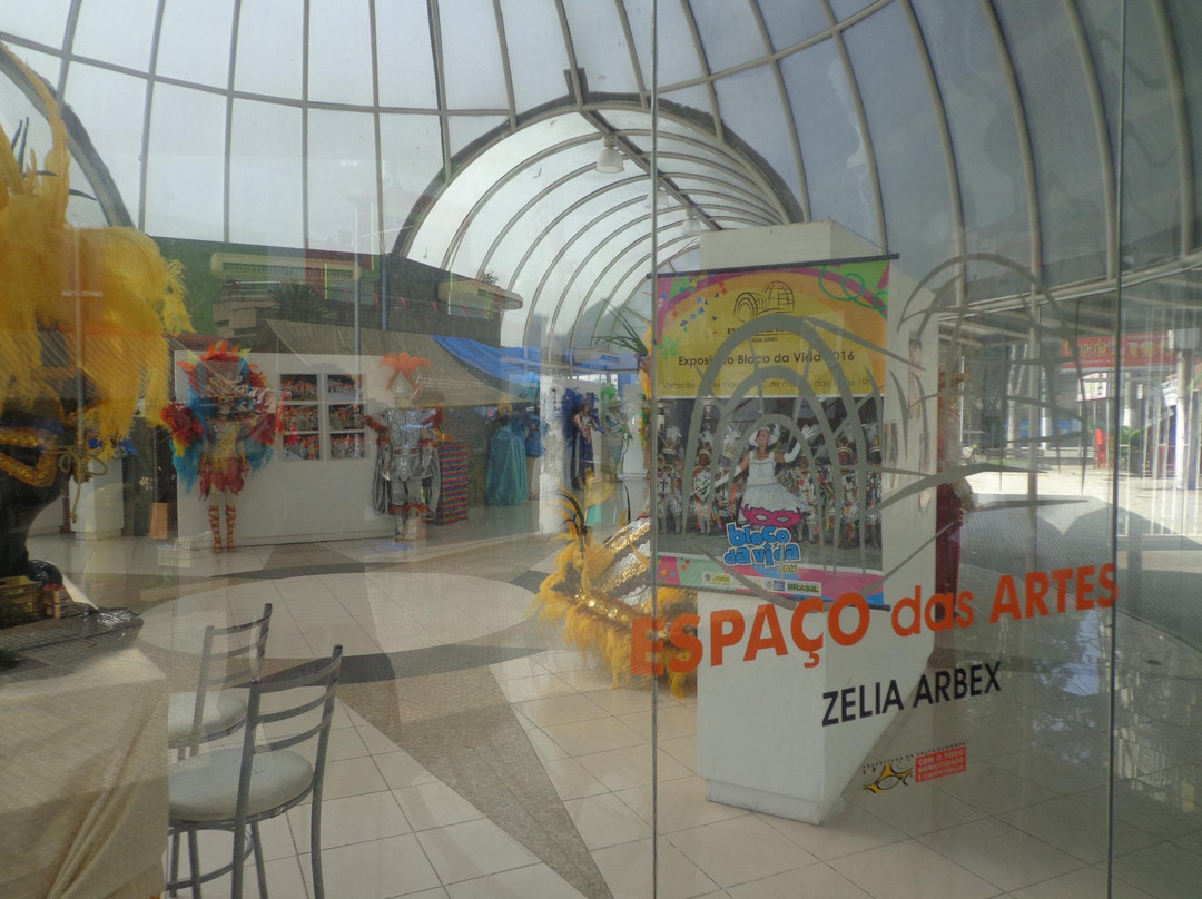 Espaco das Artes Zelia Arbex景点图片