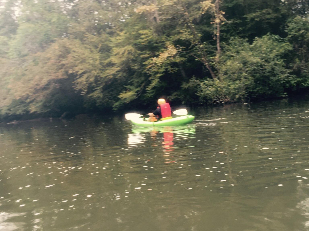 Wildwood Outfitters-Cleveland必去景点