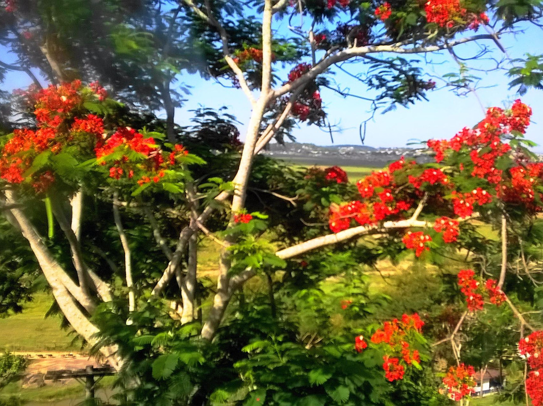 Fazenda Sao Joao景点图片