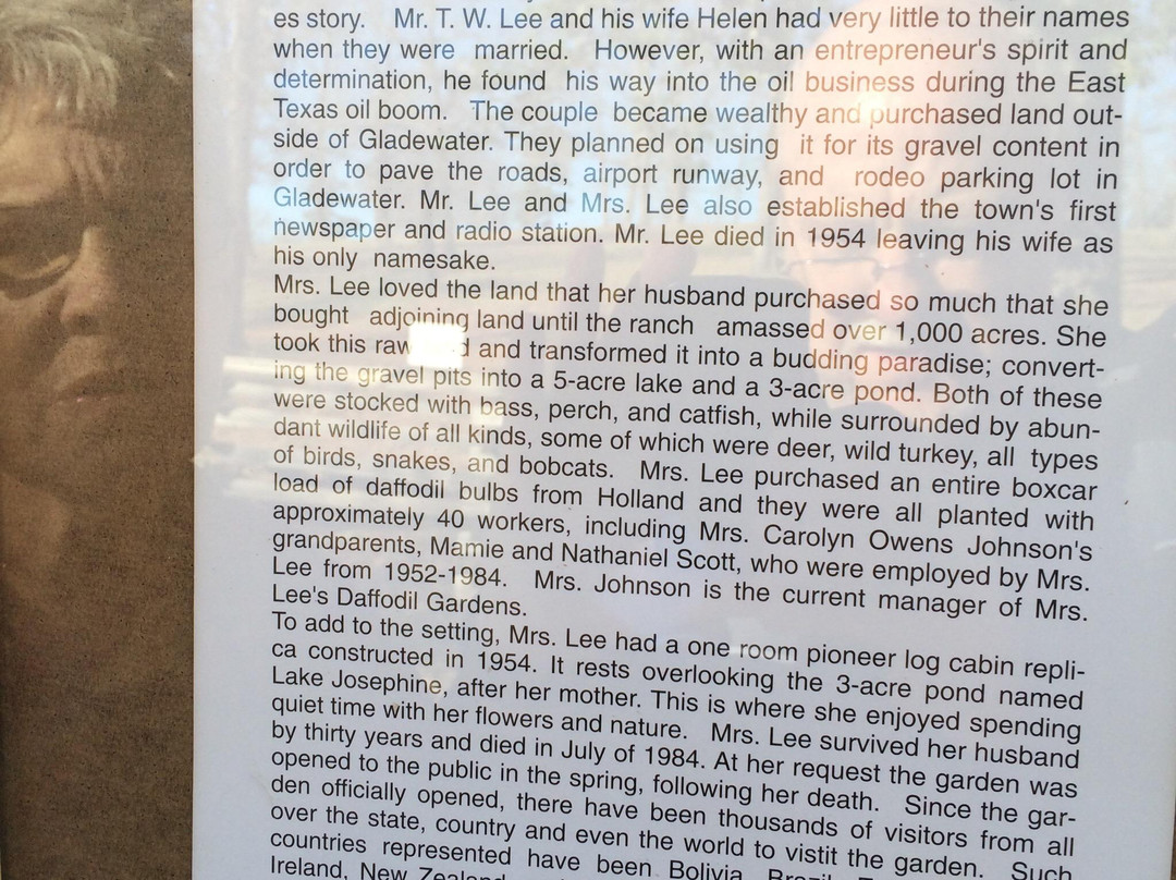 Mrs. Lee's Daffodil Garden-Gladewater必去景点