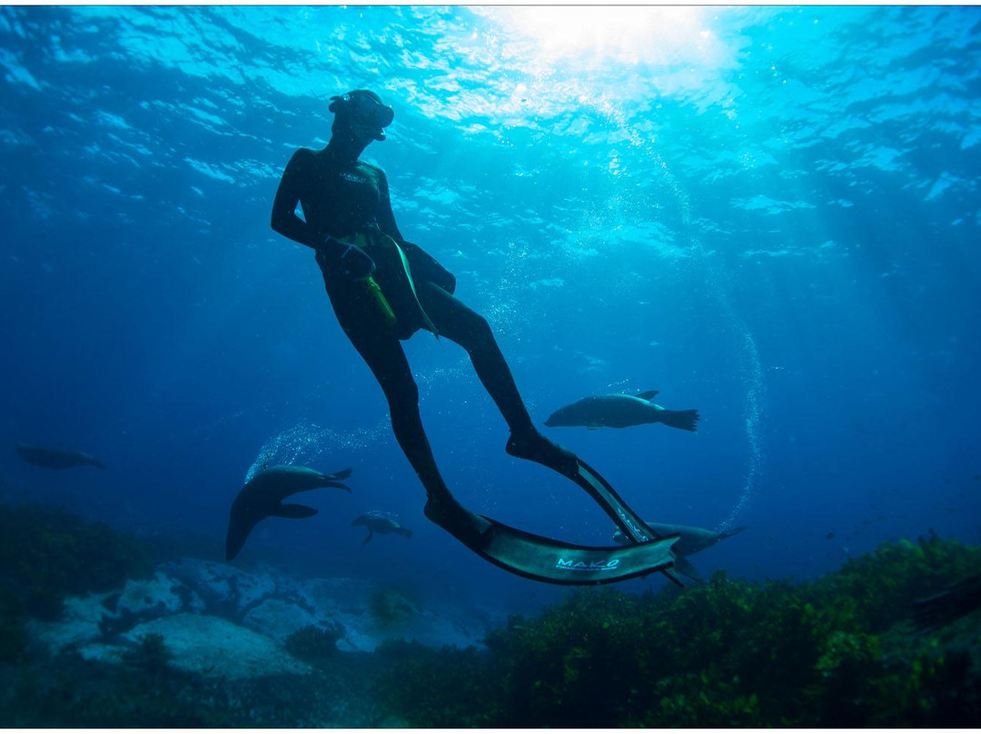 Underwater Safaris景点图片