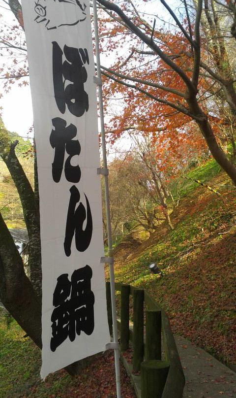 Sasayamaso主图