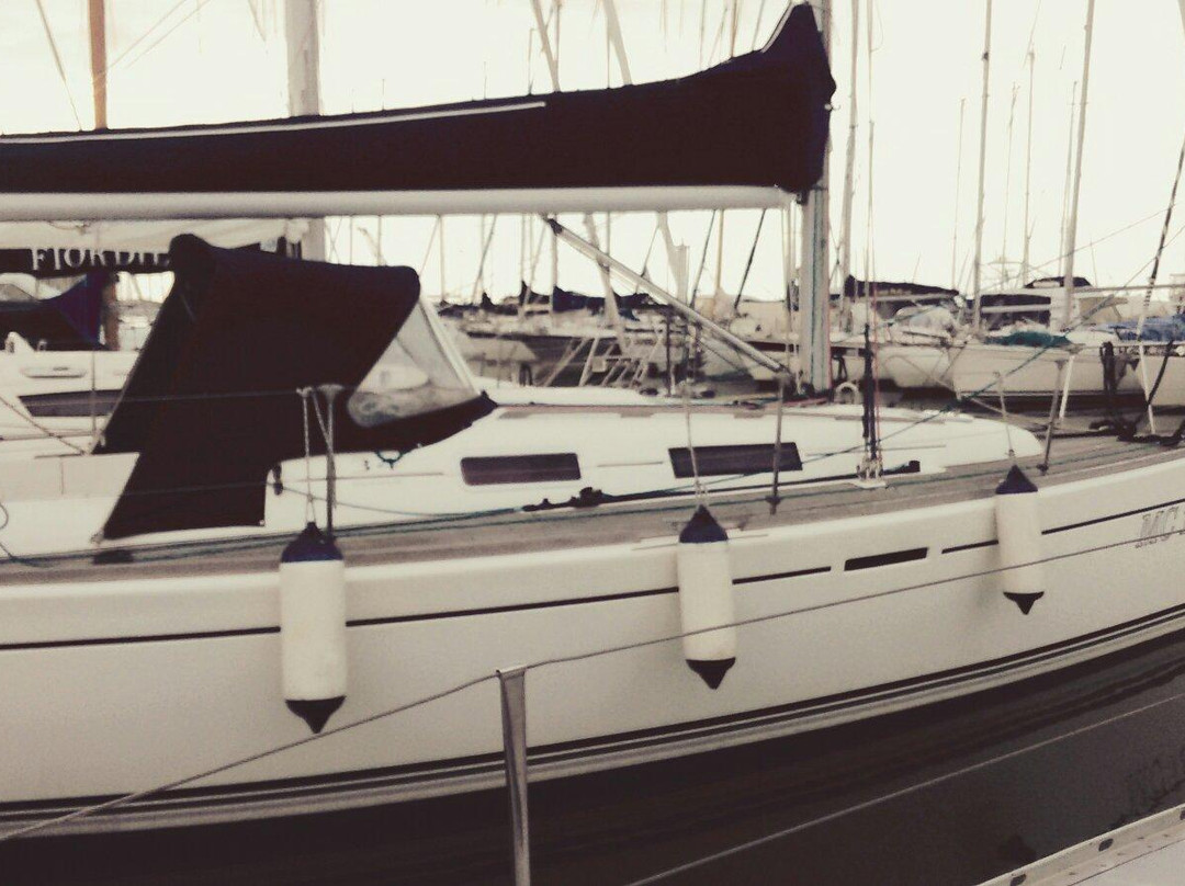 Vela Mare SSD - Day Tours景点图片