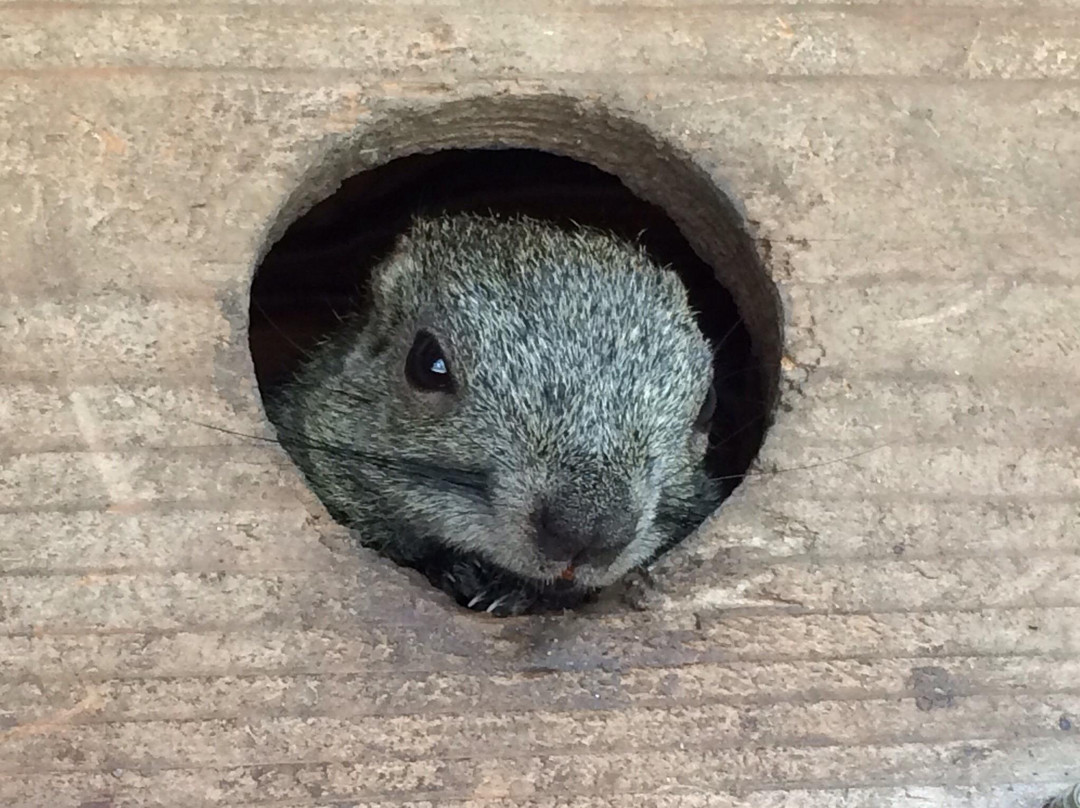 Shimin Fureai no Sato