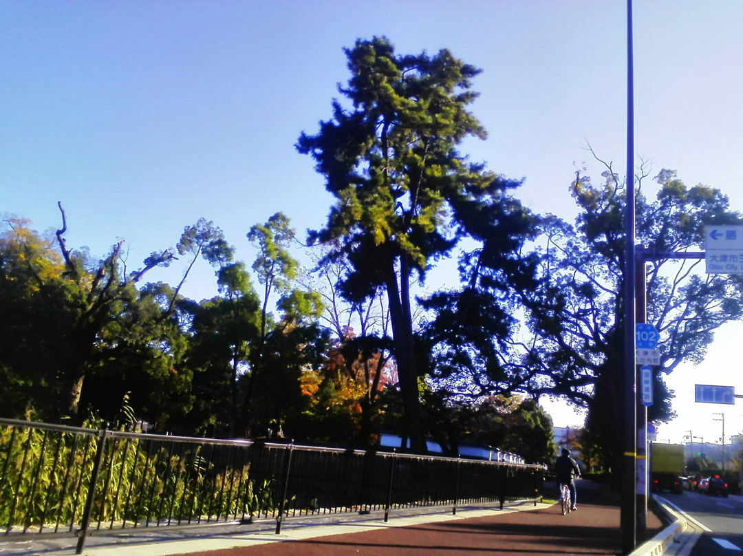 Zezejoseki Park-大津市必去景点