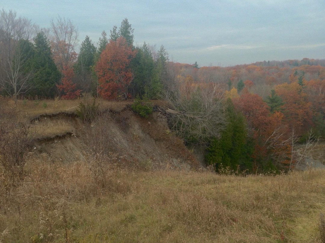 Rouge National Urban Park-多伦多必去景点