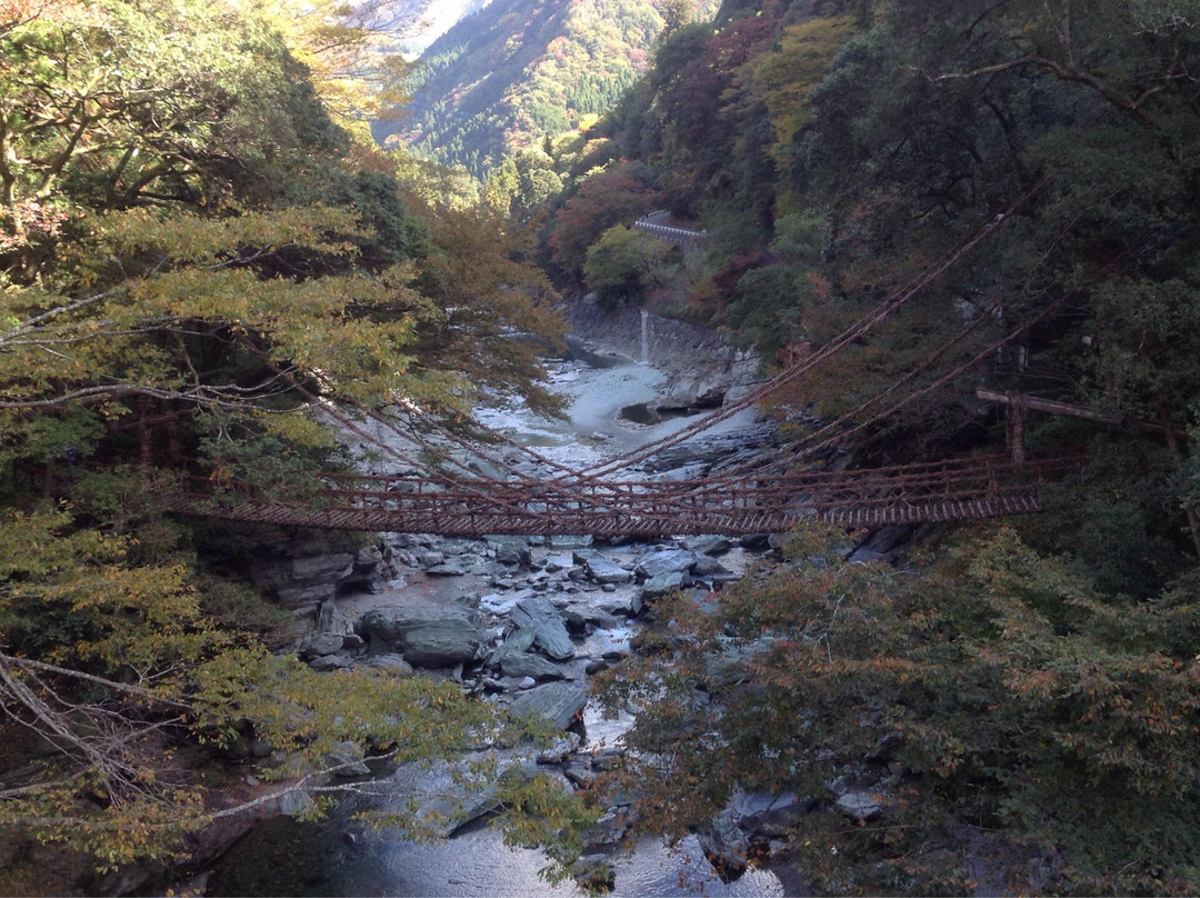Okuiya Niju Kazurabashi Bridge-三好市必去景点