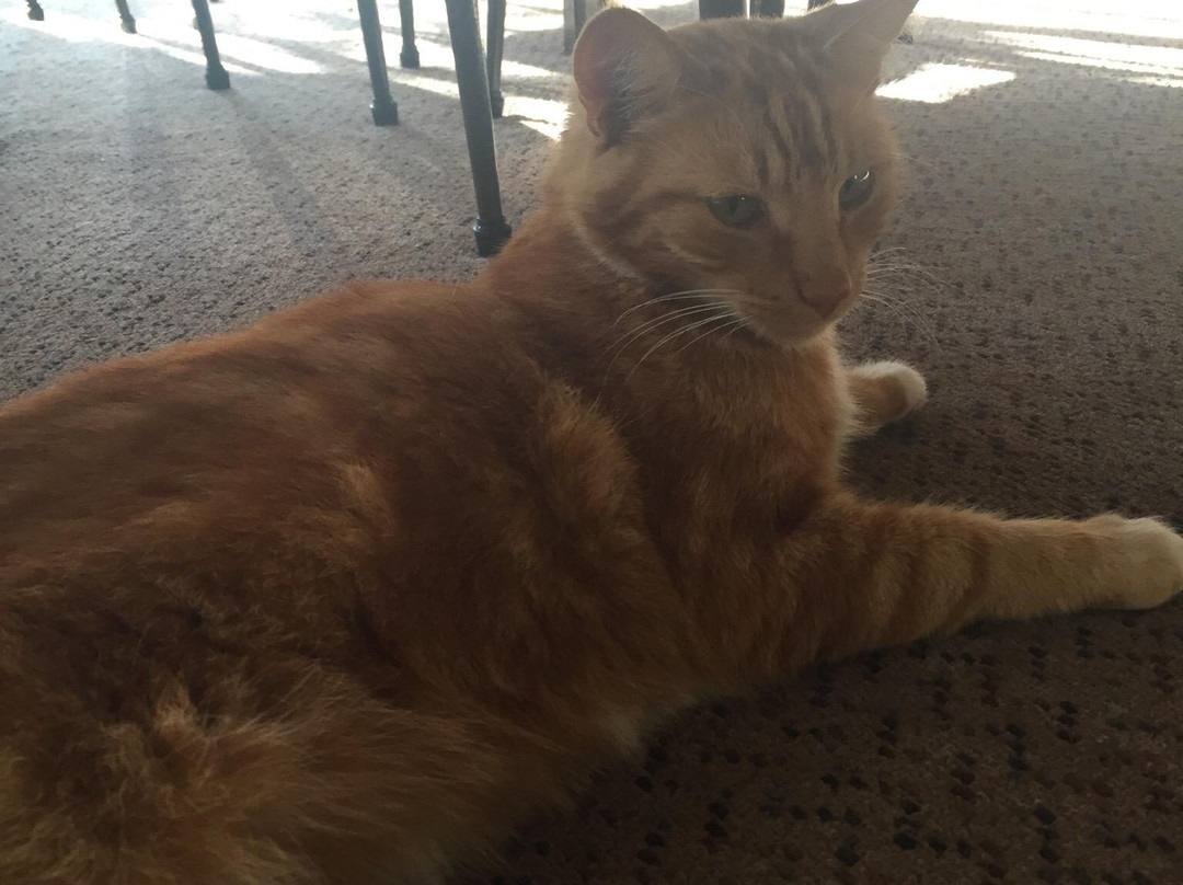 Egmont Eco Lodge主图