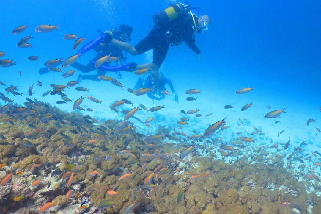 Extreme Water Sports-迪拜必去景点