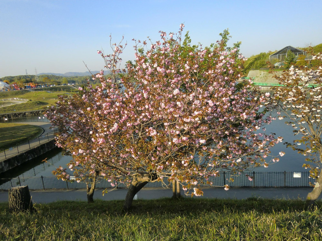Fukuyama City Zoo景点图片