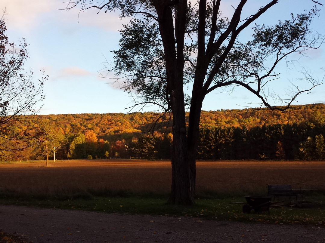 Sequel Inn Creemore主图