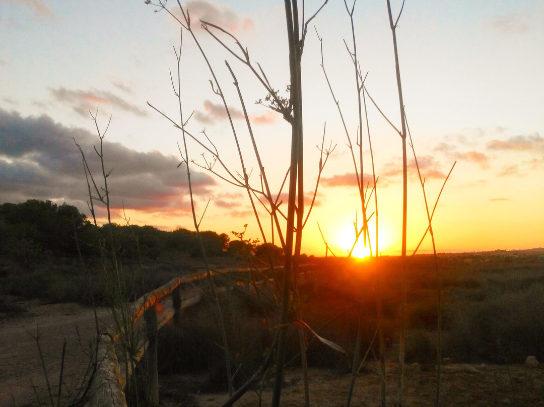 Las Salinas de Torrevieja景点图片