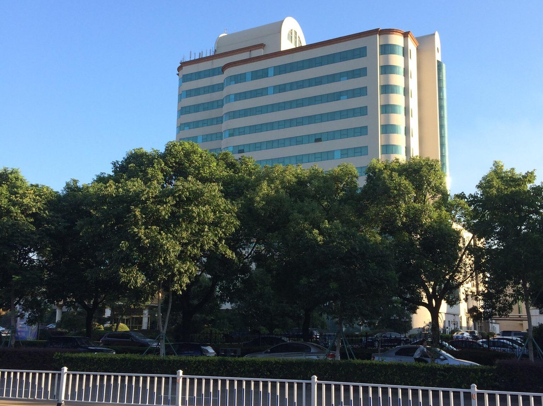 老板娘新光大酒店主图