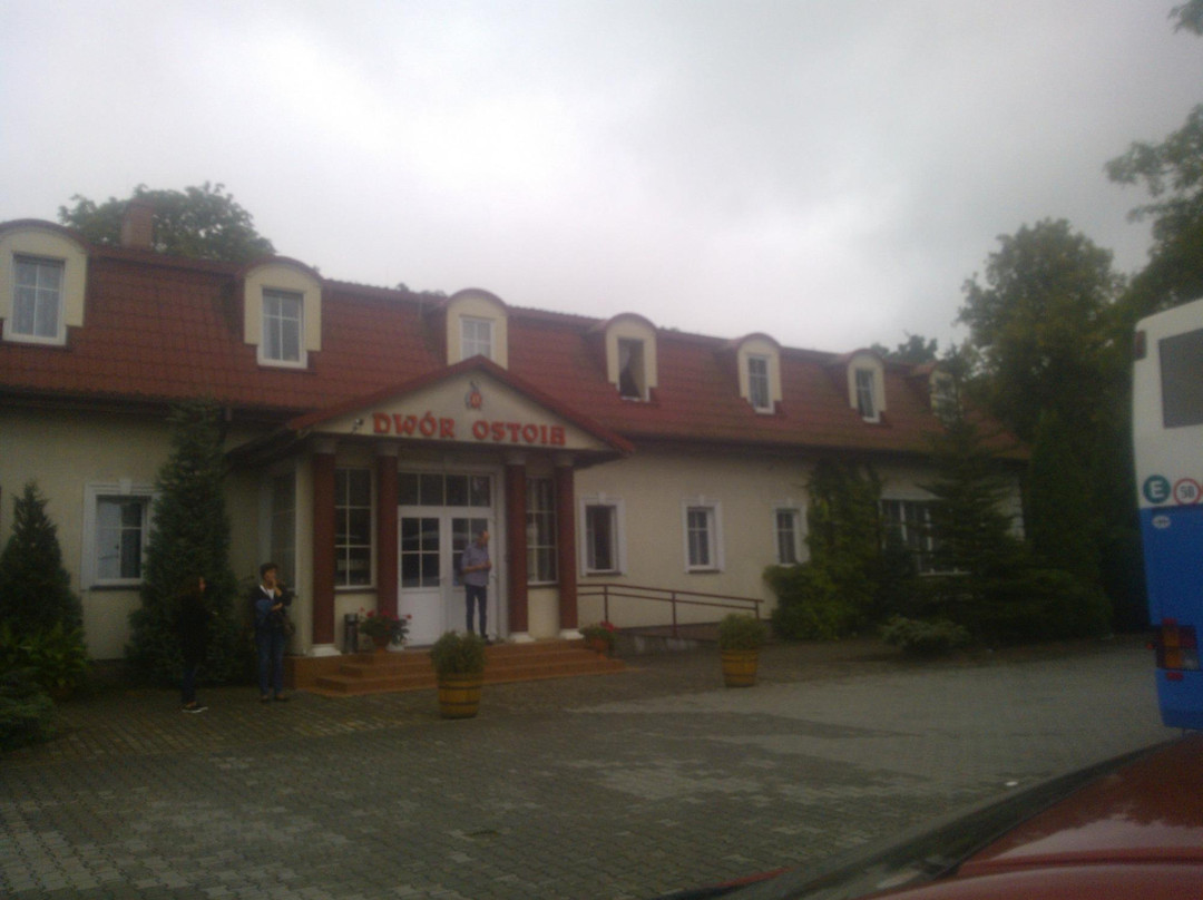 Dwor Ostoia主图