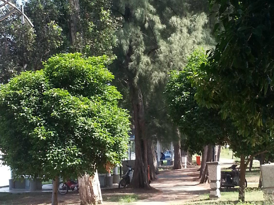 Tanjung Gemok Beach-波德申必去景点