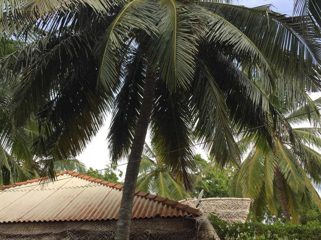 Sarada Beach Resort主图