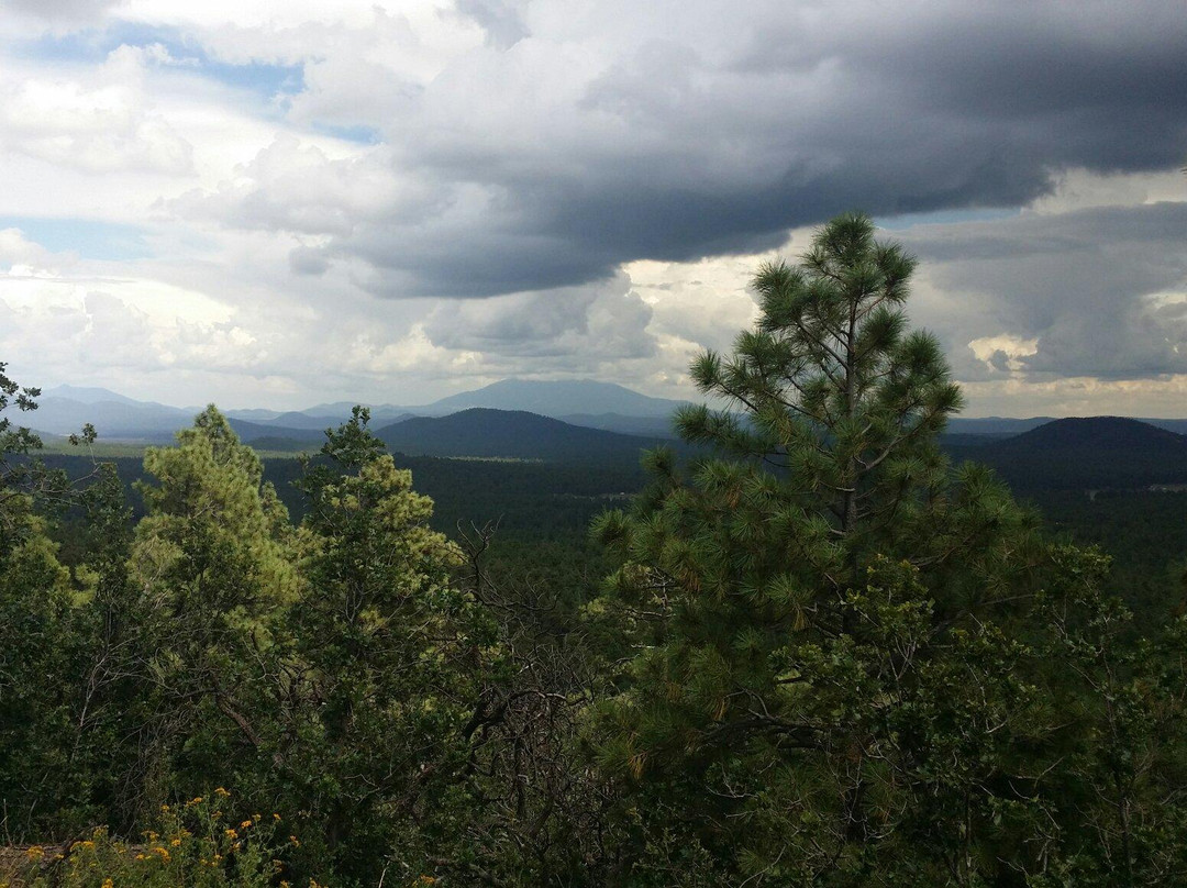 Bill Williams Mountain-威廉姆斯必去景点