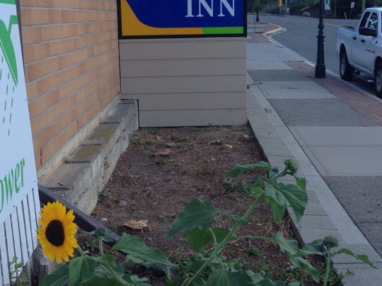 Rest Inn Lytton主图