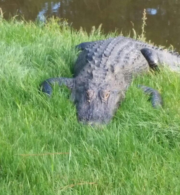 The Witch-Conway必去景点