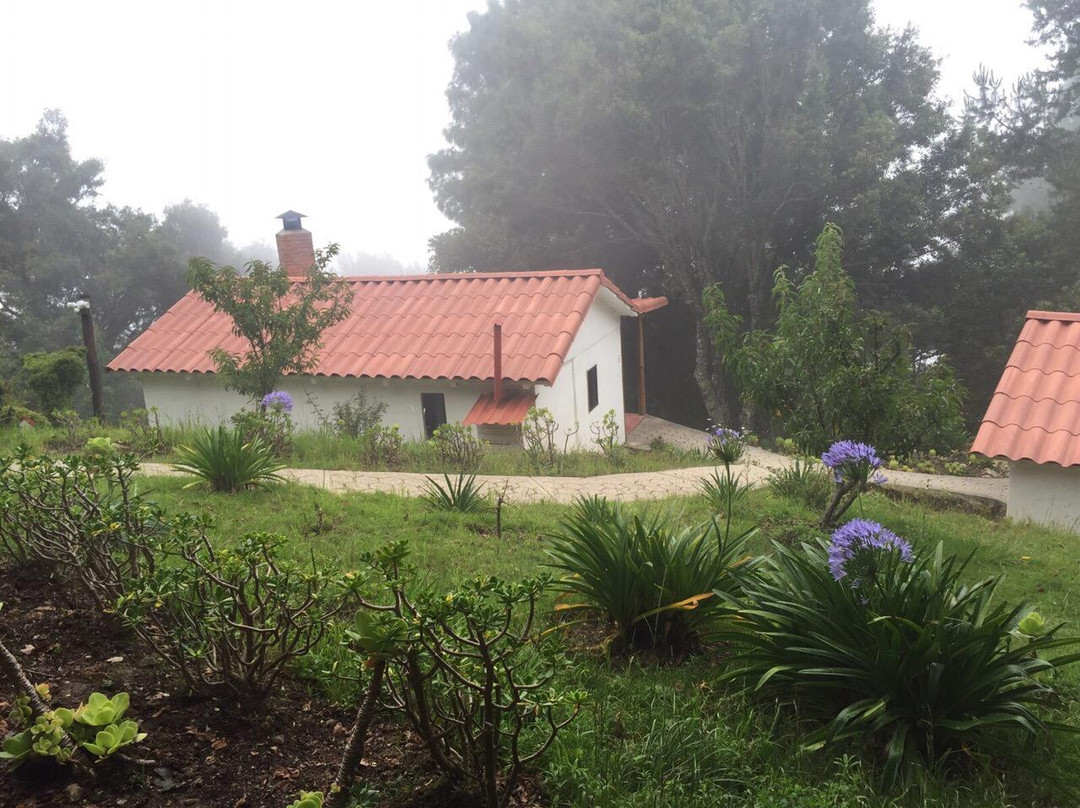 Cabanas y Restaurante Puesta del Sol主图