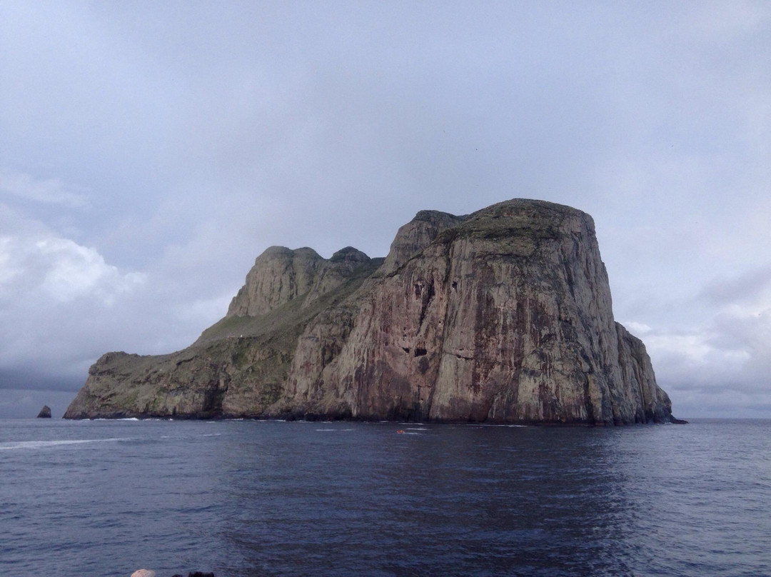 马尔佩洛岛动植物保护区-Malpelo Island必去景点